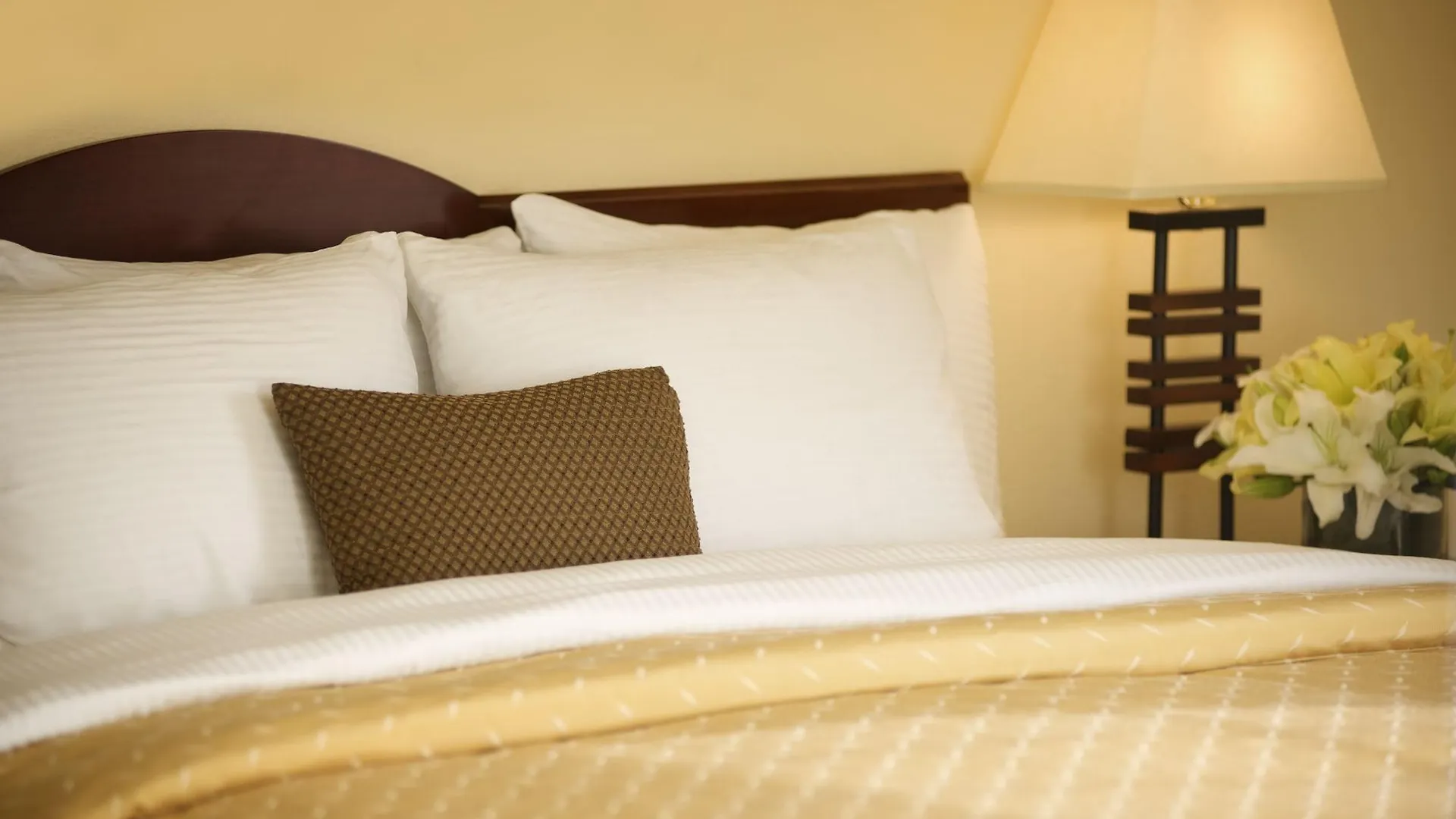 Larkspur Landing Extended Stay Suites Sacramento Hotel